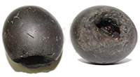 Shaligram 1071 280gm